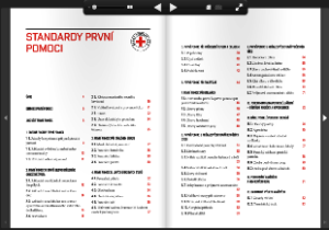 Standardy-Adobe-Flash